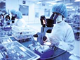 Pharmaceutical/ Biomedical Industry