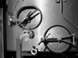 Wine/Beverage/Dairy Gaskets